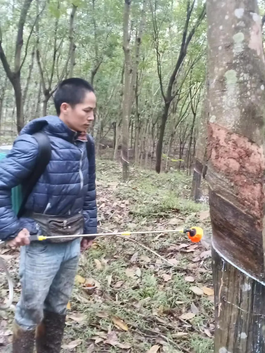 1722848712269088463.jpg 1722848712269088463.jpg