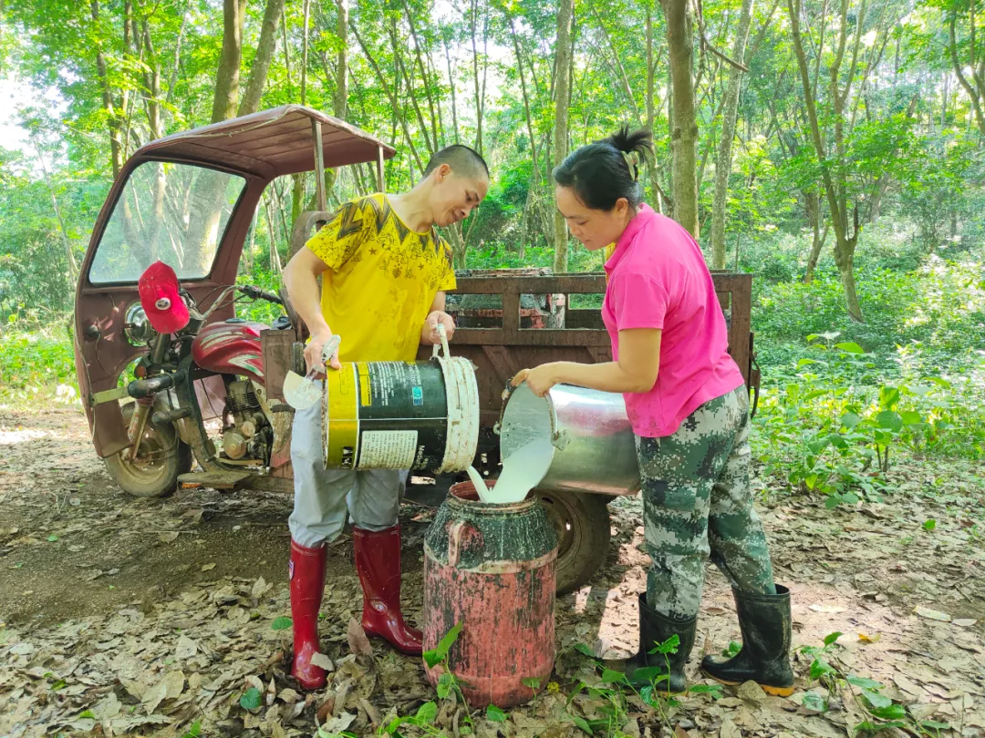 1722849255704017195.jpg 1722849255704017195.jpg