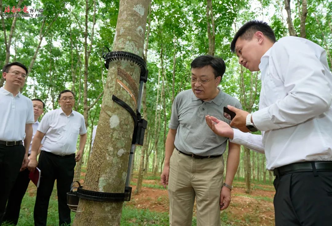 1690162514986048322.jpg 18.jpg